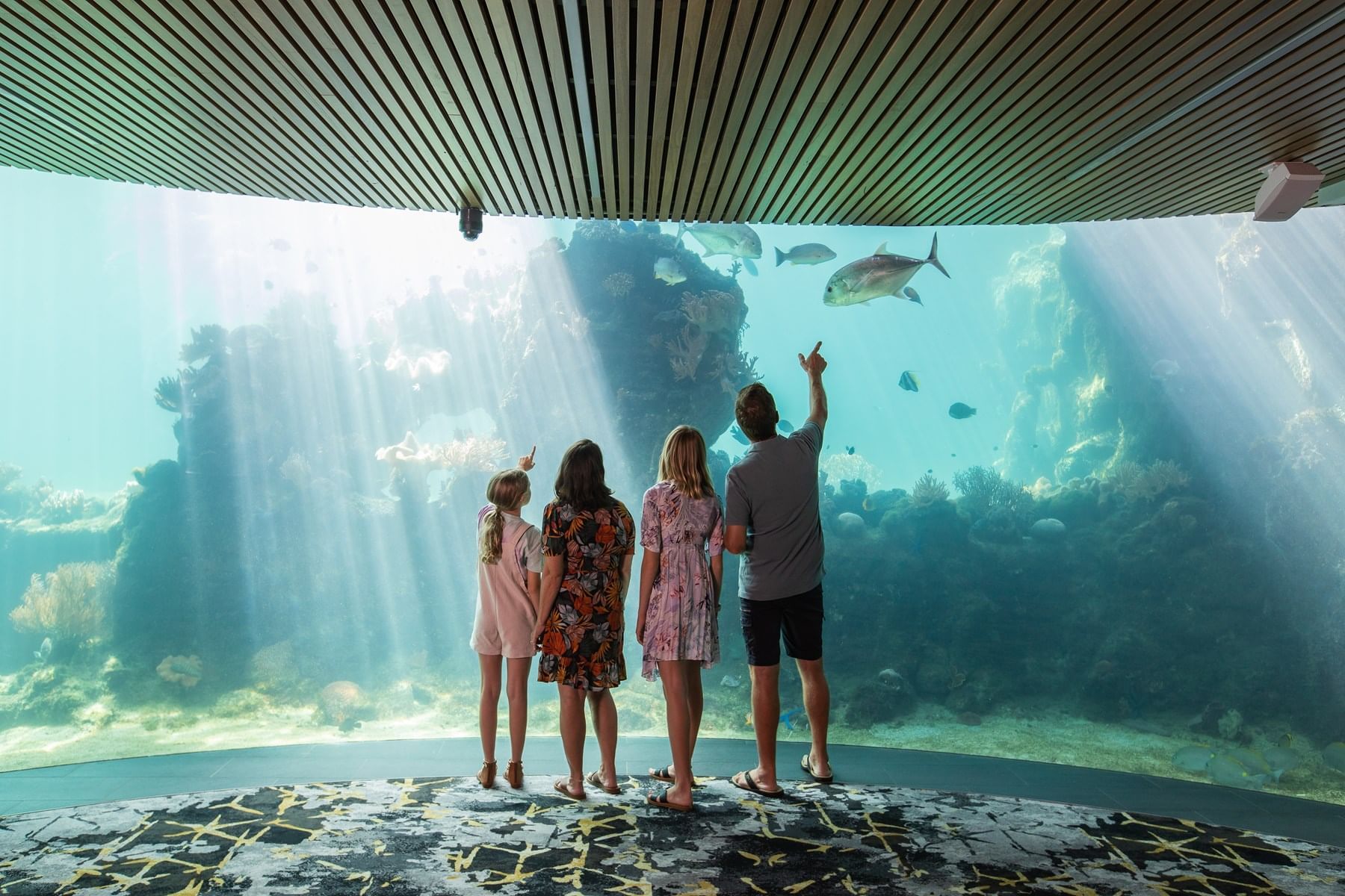 Daydream Island Resort & Living Reef
